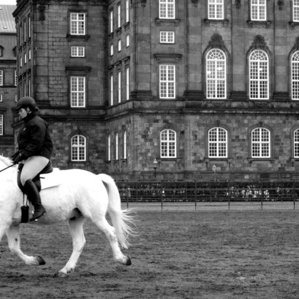 Entrenando sobre un caballo blanco, en Copenhague